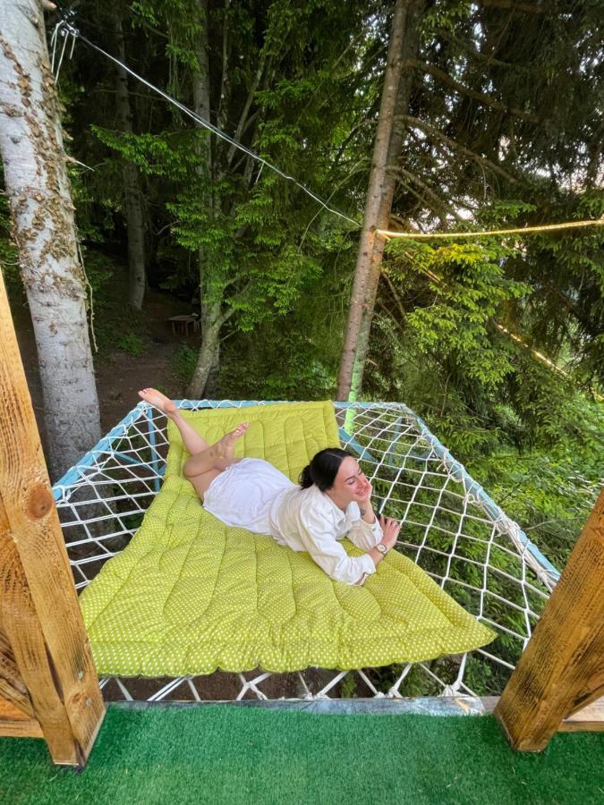 Forest House Dandalo Екстериор снимка